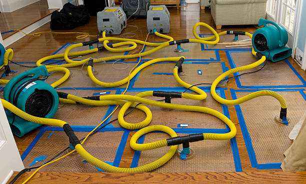 Professional Sewage Cleanup technician working in Thorndike, MA